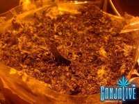 саттива 1.jpg