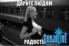 1380182041_38.jpg