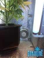 CAM00461.jpg