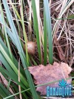 20131001_155048.jpg