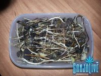 20131001_183330.jpg