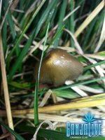 20131004_112857.jpg