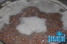 IMG_2846.JPG