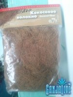 20131011_121816.jpg