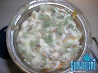 DSCN3853.JPG