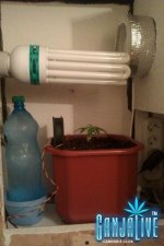 IMAG0114.jpg
