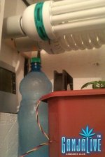 IMAG0118.jpg
