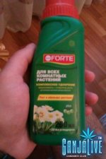 IMAG0120.jpg