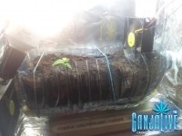 20131018_170834.jpg