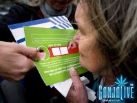 Cannabis Scratch And Sniif Cards.jpg