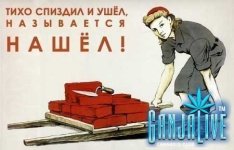 S9OycO0SOJc.jpg