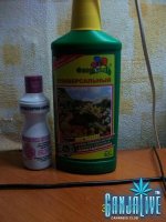 100_6056.JPG