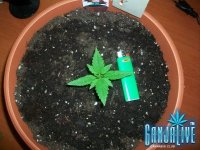 100_6135.JPG