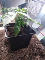 2021-12-03 21-52-24.JPG