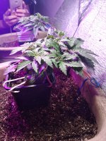 2021-12-08 23-10-00.JPG