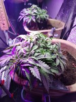 2021-12-11 23-22-59.JPG