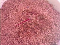 Microsoft Office Picture Manager.jpg