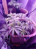 2021-12-14 22-08-18.JPG