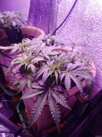 2021-12-14 22-08-25.JPG