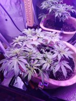 2021-12-14 22-08-34.JPG