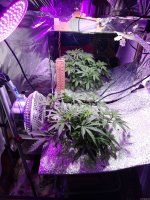 2021-12-17 23-03-31.JPG