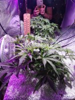 2021-12-17 23-03-43.JPG