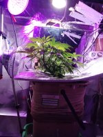 2021-12-17 23-04-11.JPG