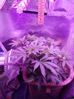 2021-12-18 21-08-22.JPG