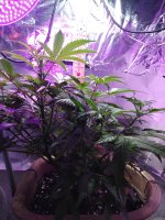 2021-12-21 19-23-06.JPG