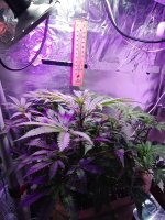 2021-12-21 19-23-11.JPG