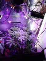 2021-12-22 18-30-05.JPG