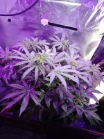 2021-12-23 18-37-31.JPG