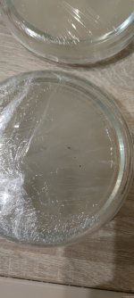 IMG_20211213_221938.jpg