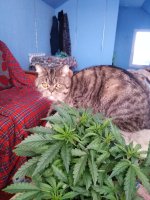 2021-12-13 11-15-22.JPG