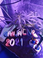 2021-12-25 23-53-03.JPG