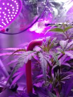 2021-12-23 23-05-16.JPG