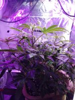 2021-12-23 18-37-37.JPG