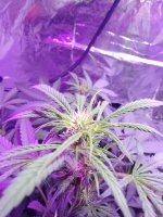 2021-12-27 13-45-30.JPG