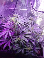 2021-12-27 13-45-57.JPG