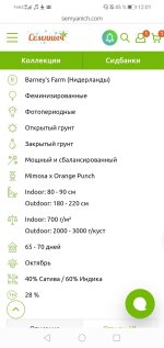 Screenshot_20211230_120123_ru.yandex.searchplugin.jpg