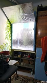 изображение_viber_2022-01-06_02-55-55-652.jpg