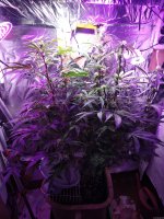 2022-01-07 13-14-46.JPG