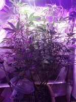 2022-01-07 13-14-57.JPG