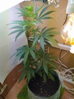 IMG_20220109_201535.jpg