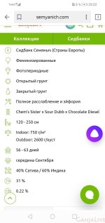 Screenshot_20220110_232206_ru.yandex.searchplugin.jpg
