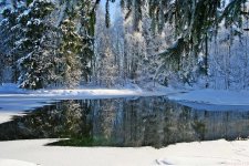 winter-2077072_1920.jpg