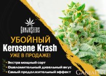 700х500  Банер Kerosene Krash.jpg