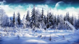 krasota-zimnego-lesa-v-moroz.jpg
