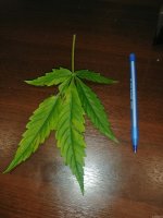 IMG_20220120_230803.jpg