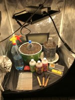 IMG_1459.JPG